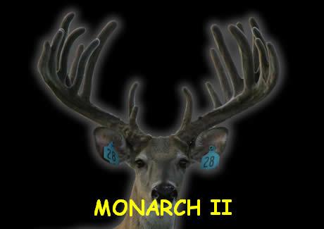 Monarch II